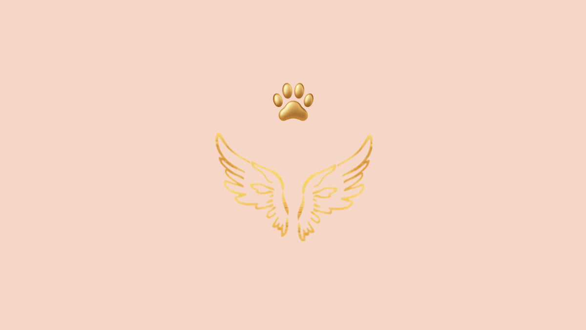 PAWLEVE hero banner - pink background, gold wings, gold paw print icon